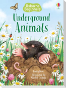 Underground Animals (Usborne Beginners)