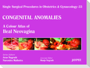 Single Surgical Procedures in Obstetrics and Gynaecology - 33 - Congenital Anomalies