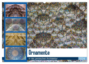 Ornamente in der persischen Architektur (Wandkalender 2024 DIN A2 quer), CALVENDO Monatskalender