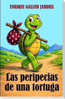 Las peripecias de una tortuga