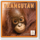 Orangutan - Orang-Utan 2027 - Wand-Kalender