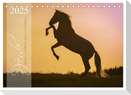 Pferde - Anmut und Stärke gepaart mit Magie (Tischkalender 2025 DIN A5 quer), CALVENDO Monatskalender