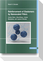 Reinforcement of Elastomers by Nanoscaled Fillers
