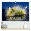 Raupen - Skurrile Verwandlungskünstler (hochwertiger Premium Wandkalender 2024 DIN A2 quer), Kunstdruck in Hochglanz