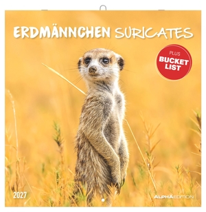 Neumann Verlage GmbH & Co KG (Hrsg.). Erdmännchen 2027 - Wandkalender 30x30 cm (30x60 cm geöffnet) mit Notizkalendarium, 12 Fotografien von Erdmännchen und Bucket-List. Neumann Verlage GmbH & Co, 2026.