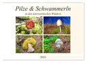 Pilze & Schwammerln (Wandkalender 2024 DIN A2 quer), CALVENDO Monatskalender