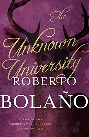 Bolano, Roberto. The Unknown University. Pan Macmillan, 2015.