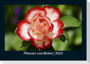 Pflanzen und Blüten 2023 Fotokalender DIN A5
