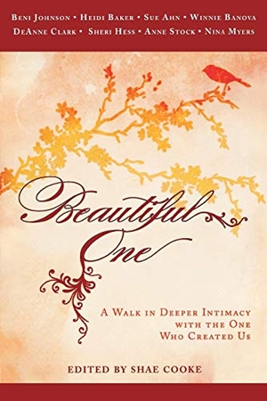 Johnson, Beni / Baker, Heidi et al. Beautiful One - A Walk in Deeper Intimacy with the One Who Created Us. Destiny Image, 2010.