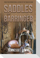Saddles of Barringer