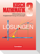 Mathematik. Lösungsbuch zu Teil 3: Differentialrechnung