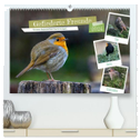 Gefiederte Freunde - Unsere heimischen Gartenvögel (hochwertiger Premium Wandkalender 2024 DIN A2 quer), Kunstdruck in Hochglanz