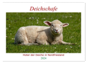 Deichschafe - Hüter der Deiche in Nordfriesland (Wandkalender 2024 DIN A2 quer), CALVENDO Monatskalender