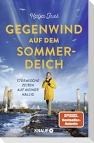 Gegenwind auf dem Sommerdeich