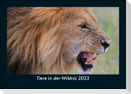 Tiere in der Wildnis 2023 Fotokalender DIN A5