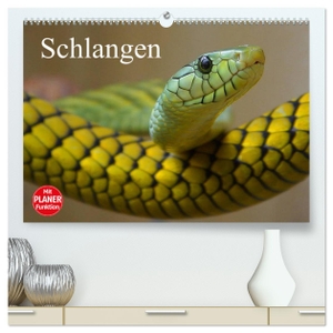 Stanzer, Elisabeth. Schlangen (hochwertiger Premium Wandkalender 2024 DIN A2 quer), Kunstdruck in Hochglanz - Giftige und ungiftige Schlangen in beeindruckenden Farben. Calvendo, 2023.