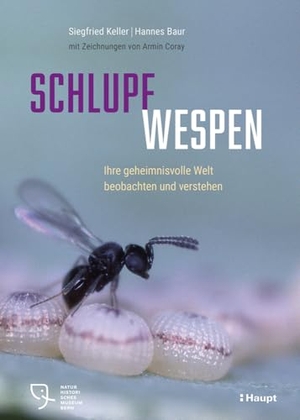 Keller, Siegfried / Hannes Baur. Schlupfwespen - Ihre geheimnisvolle Welt beobachten und verstehen. Haupt Verlag AG, 2025.