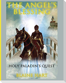 Holy Paladin's Quest