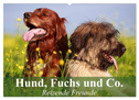 Hund, Fuchs und Co. Reizende Freunde (Wandkalender 2025 DIN A2 quer), CALVENDO Monatskalender