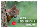 Mit dem Eichhörnchen durchs Jahr (Wandkalender 2024 DIN A3 quer), CALVENDO Monatskalender