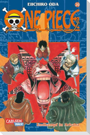 One Piece 20. Endkampf in  Arbana