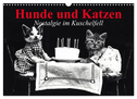 Hunde und Katzen - Nostalgie im Kuschelfell (Wandkalender 2024 DIN A3 quer), CALVENDO Monatskalender