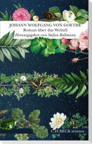 Roman über das Weltall