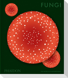 Fungi