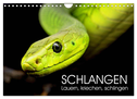 Schlangen. Lauern, kriechen, schlingen (Wandkalender 2024 DIN A4 quer), CALVENDO Monatskalender