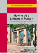 A Straightforward Guide to How to be a Litigant In Person