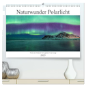 Naturwunder Polarlicht (hochwertiger Premium Wandkalender 2025 DIN A2 quer), Kunstdruck in Hochglanz