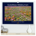 Südafrikas Wildblumen - Blütenpracht in der Kap-Region (hochwertiger Premium Wandkalender 2024 DIN A2 quer), Kunstdruck in Hochglanz