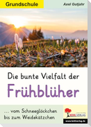 Die bunte Vielfalt der Frühblüher