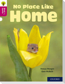 Oxford Reading Tree Word Sparks: Level 10: No Place Like Home