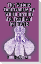 Various Contrivances by Which Orchids are Fertilised by Insects, The