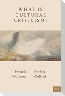 What Is Cultural Criticism?