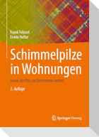 Schimmelpilze in Wohnungen
