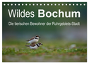 Wildes Bochum (Tischkalender 2024 DIN A5 quer), CALVENDO Monatskalender