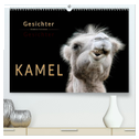Kamel Gesichter (hochwertiger Premium Wandkalender 2024 DIN A2 quer), Kunstdruck in Hochglanz