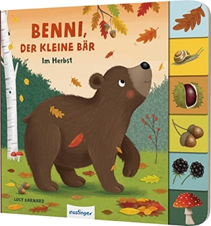 Kiel, Anja. Mein erstes Jahreszeitenbuch: Benni, der kleine Bär - Im Herbst | Pappebuch mit Griff-Register. Esslinger Verlag, 2023.