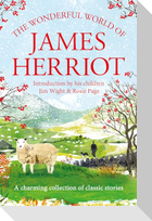 The Wonderful World of James Herriot