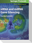 siRNA and miRNA Gene Silencing