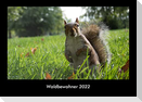 Waldbewohner 2022 Fotokalender DIN A3