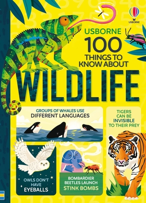 James, Alice / Hall, Rose et al. 100 Things to Know About Wildlife. Usborne Publishing Ltd, 2026.
