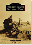 Petrified Forest National Park