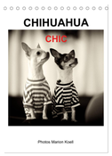 CHIHUAHUA CHIC Photos Marion Koell (Tischkalender 2024 DIN A5 hoch), CALVENDO Monatskalender