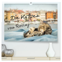 Die Katzen von Rovinj (hochwertiger Premium Wandkalender 2024 DIN A2 quer), Kunstdruck in Hochglanz