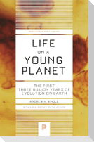 Life on a Young Planet