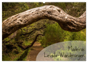 Madeiras Levada-Wanderungen (Wandkalender 2025 DIN A2 quer), CALVENDO Monatskalender
