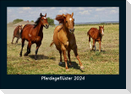 Pferdegeflüster 2024 Fotokalender DIN A5